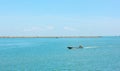 boats are sailing on the sea background in the noon time.