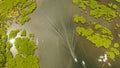 Aerial view of Mangrove forest and river. Royalty Free Stock Photo