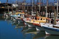 Anchored Sail Boats San Francisco Bay Royalty Free Stock Photo