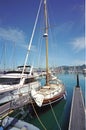 Boats at Sausalito Harbor CA