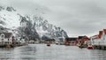 Boats and seagulls in a port