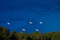 Boats seen in Myrtos beach .