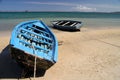 Boats on the shore Royalty Free Stock Photo