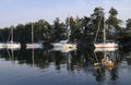 Boats shore tied in Princess Bay with couple rowing dinghy, Wallace Island, Gulf Islands, British Columbia