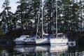 Boats shore tied in Princess Bay, Wallace Island, Gulf Islands, British Columbia