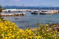 Boats in a small port, yellow color daisies flowers and blue sea background
