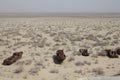 Rusty boats of the Aral Sea