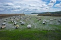 Boats stranded on the port of Binic, at base tide, in Brittany in the coasts of Armor Royalty Free Stock Photo