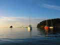 Boats at Sullivans Bay Mahurangi Auckland New Zealand