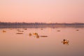 Boats on the Taungthaman Lake at sunset in Amarapura, Mandalay Myanmar