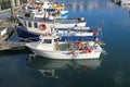 Boats in Torquay Marina, Devon Royalty Free Stock Photo