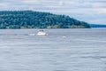 Boats and Trees Landscape Royalty Free Stock Photo