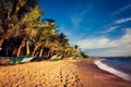 Boats on a Tropical Beach, Mirissa, Sri Lanka Royalty Free Stock Photo