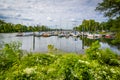 Boats at the Washington Sailing Marina, along the George Washing