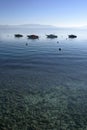 Boats on Water