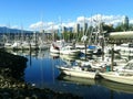 Boats and yachts anchored at a marina in Toronto, Canada.