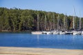 Boats and yachts docked in the marina on Lake Lanier with lush green trees and a gorgeous clear blue sky in Gainesville Georgia Royalty Free Stock Photo