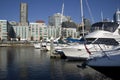 Boatyard at Seattle Waterfront Royalty Free Stock Photo