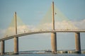 Sunshine Skyway Bridge, often referred to as the Sunshine Skyway Bridge near St. Petersburg, Florida