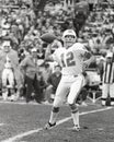 Bob Griese