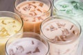 Boba / Bubble tea. Homemade Various Milk Tea with Pearls on wood Royalty Free Stock Photo