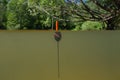 A bobber floats vertically in a forest stream Royalty Free Stock Photo