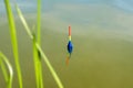 A bobber in the water. Fishing on the lake, fishing background Royalty Free Stock Photo