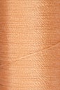 Bobbin of orange thread Royalty Free Stock Photo