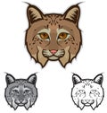 Bobcat Faces