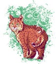 Bobcat on a green background