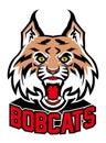 Bobcat head mascot