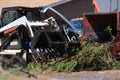 Bobcat loading pine branches into mulcher Royalty Free Stock Photo