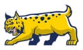 Bobcat mascot
