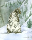 Bobcat under the snow (vertical)- watercolour