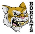 Bobcats Mascot