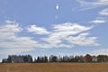 Low horizon panoramic landscape of a soybean field with blue sky and lens flare Royalty Free Stock Photo