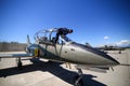 Mechanics attend IAR 99 Soim (Hawk) advanced trainer and light attack airplanes, used as jet trainer of the Romanian Air Force Royalty Free Stock Photo