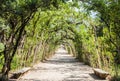 Boboli Gardens