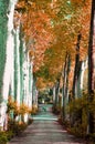 Boboli gardens in Florence, Italy Royalty Free Stock Photo