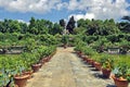 Boboli Gardens Lake and Fountain in Florence Royalty Free Stock Photo