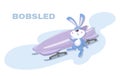 Bobsled. Cute bunny sportsmen. Bobsleigh sled race athlete winter sport. Bobsleigh competition Royalty Free Stock Photo