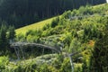 Bobsled Roller Coaster Toboggan in summer day, Rittisberg, Austrian Alps