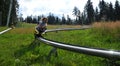 On the bobsled run