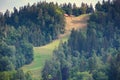 Bobsled track in the forest