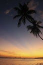 Boca Chica beach at sunset Royalty Free Stock Photo