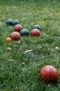 Bocce balls on green grass