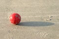 Boccie ball