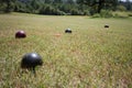 Boccii Ball Royalty Free Stock Photo