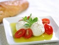 Bocconcini cheese, baby tomato and olive oil Royalty Free Stock Photo