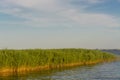 Boddenlandschaft on Fischland